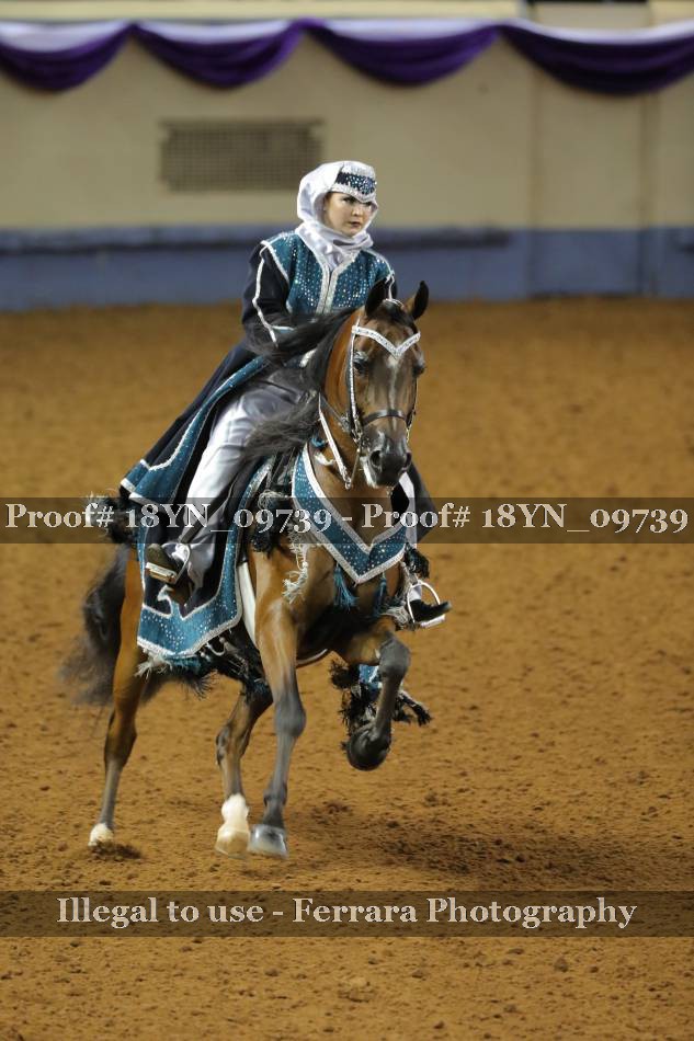 Proof 18YN_09739