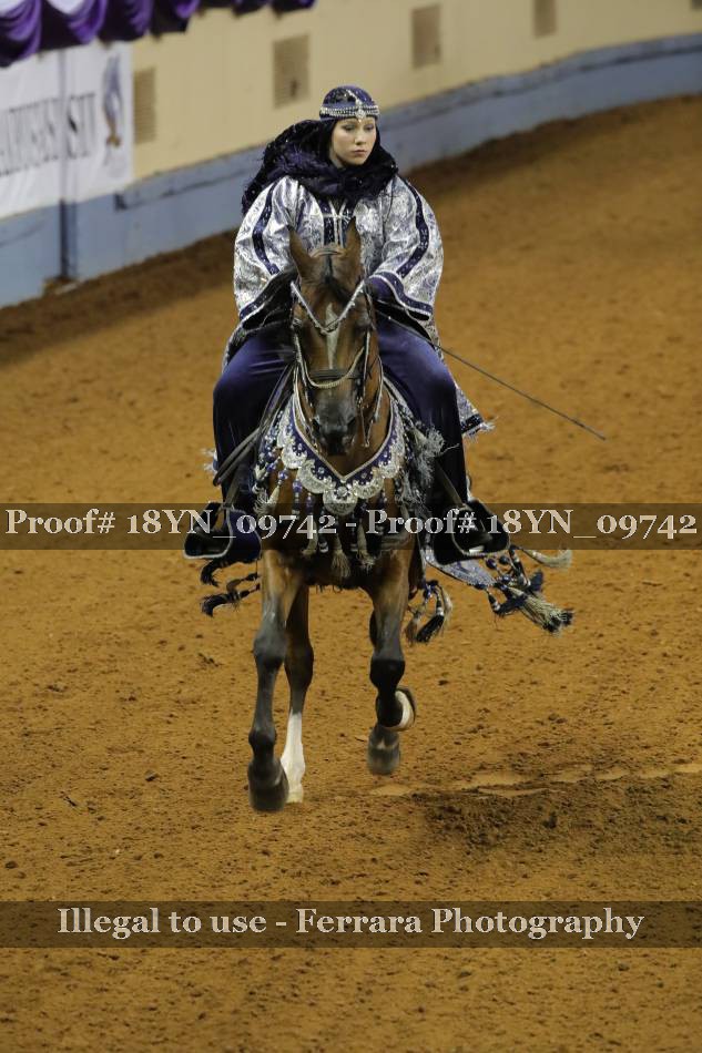 Proof 18YN_09742