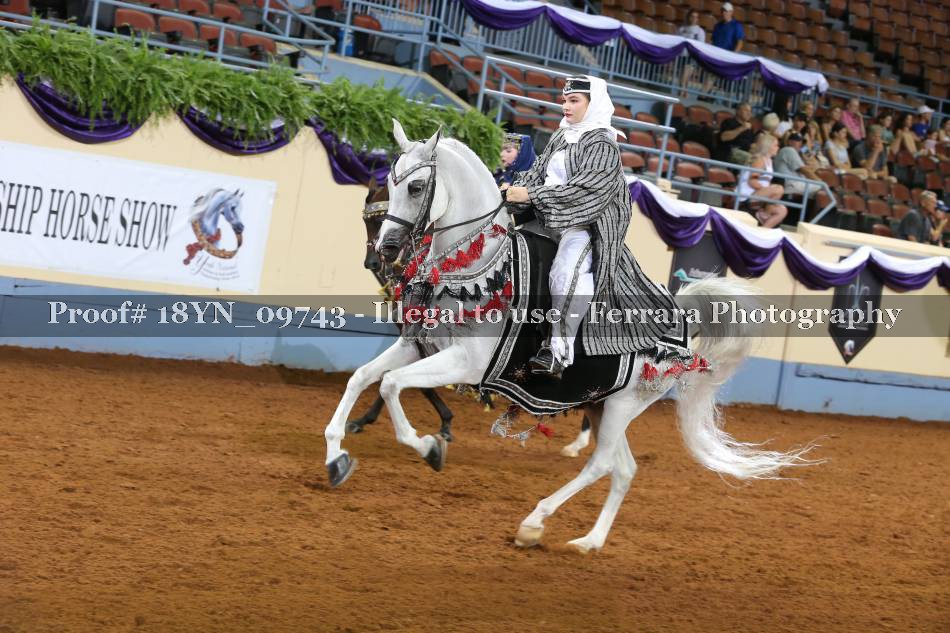 Proof 18YN_09743