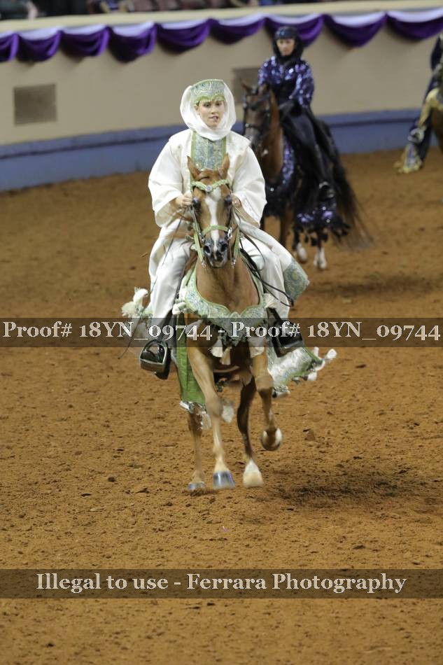 Proof 18YN_09744