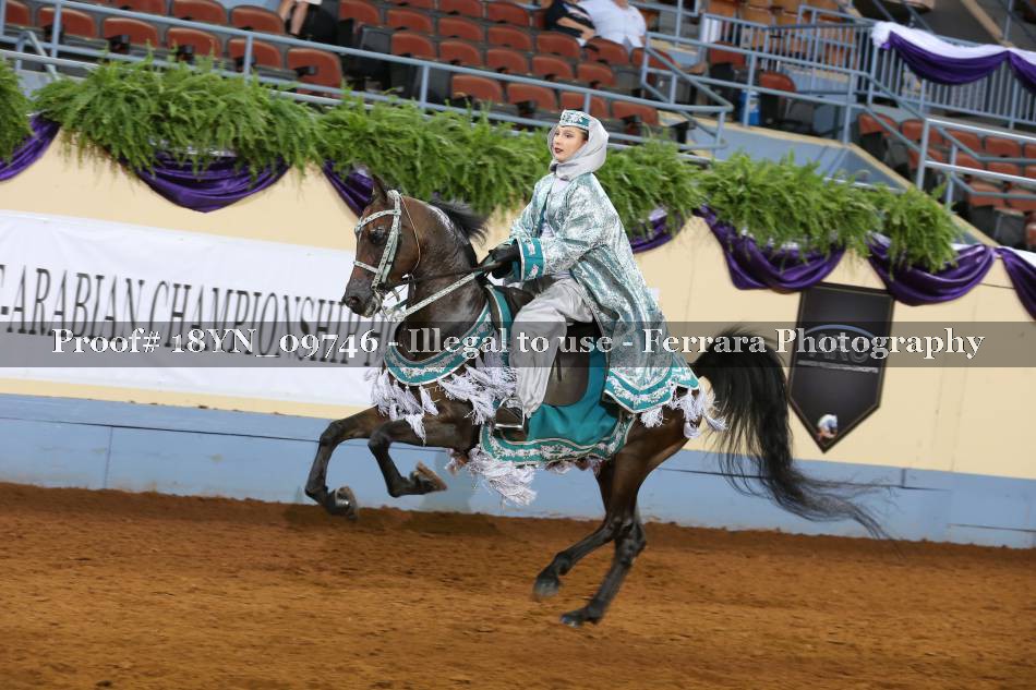 Proof 18YN_09746