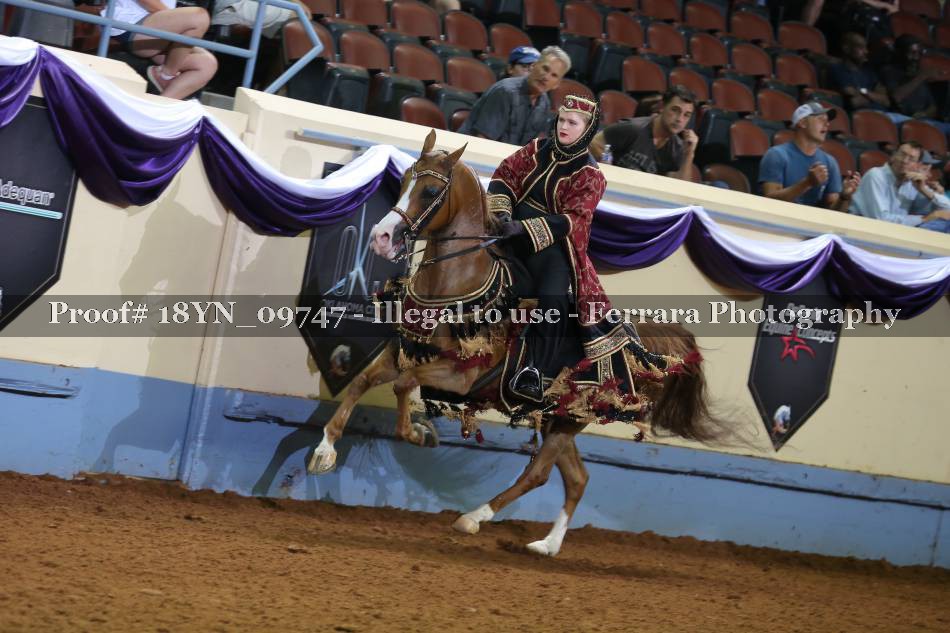 Proof 18YN_09747