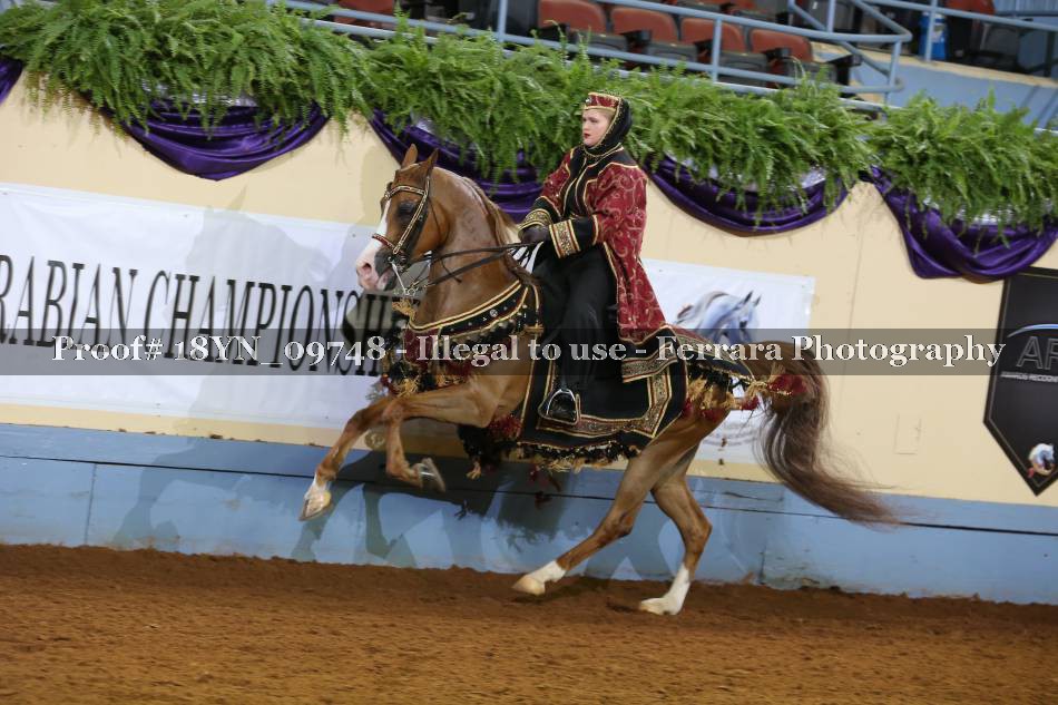 Proof 18YN_09748