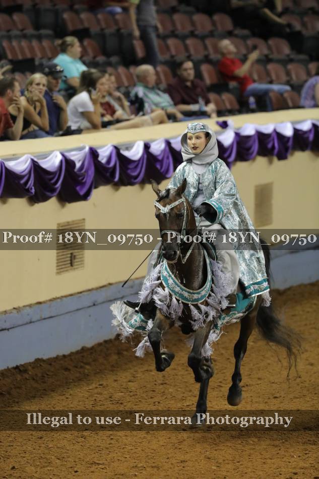 Proof 18YN_09750