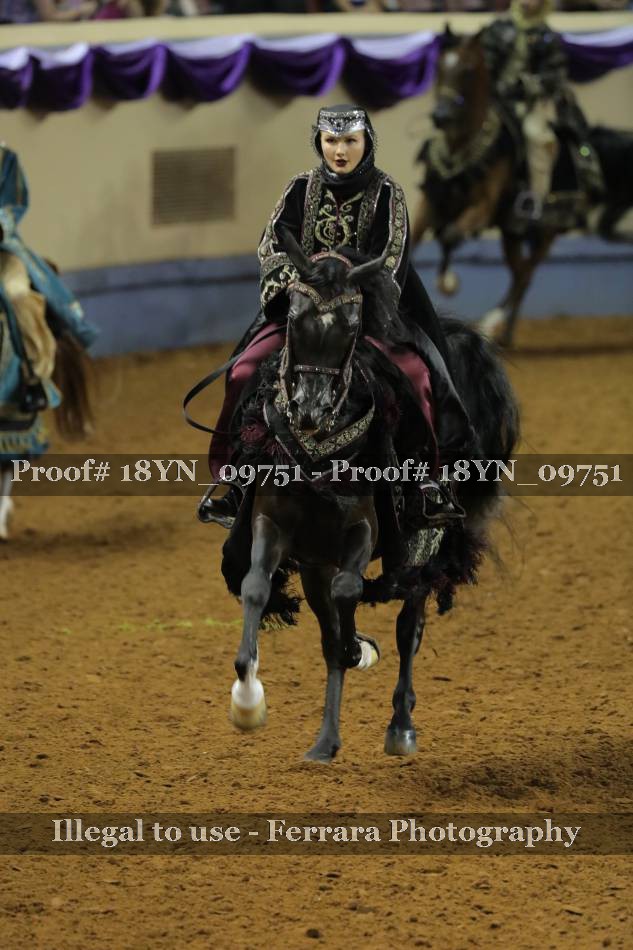 Proof 18YN_09751