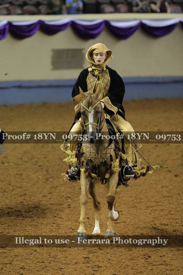 Proof 18YN_09753