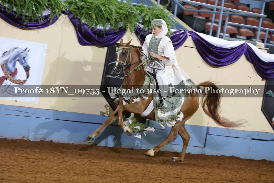 Proof 18YN_09755