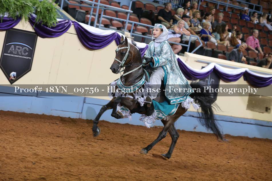 Proof 18YN_09756