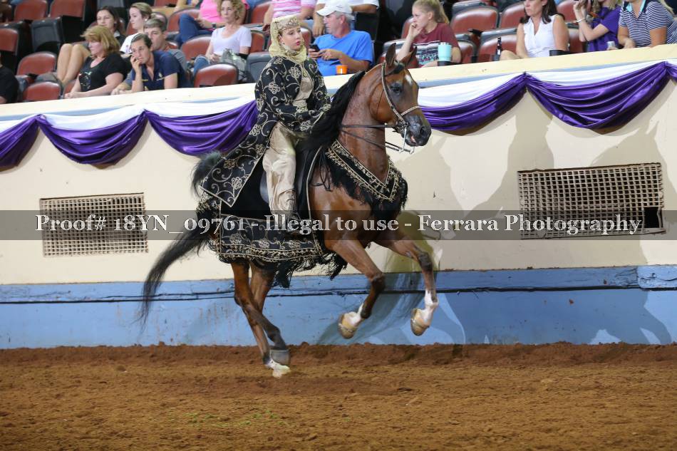 Proof 18YN_09761