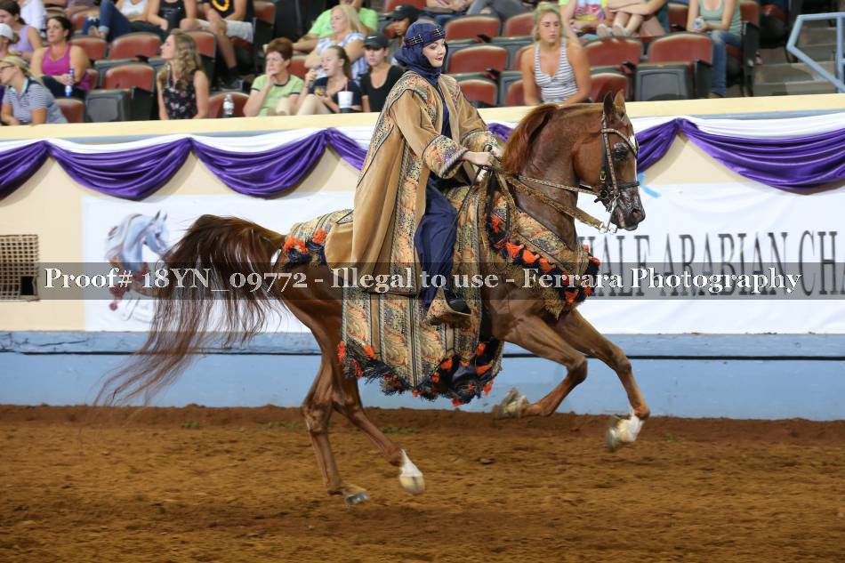 Proof 18YN_09772