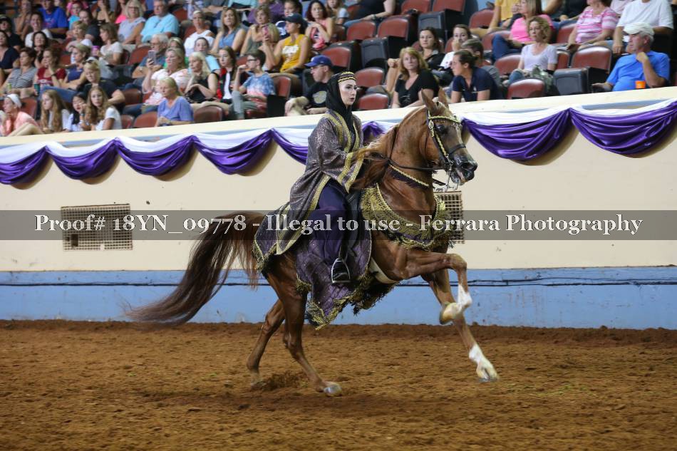 Proof 18YN_09778