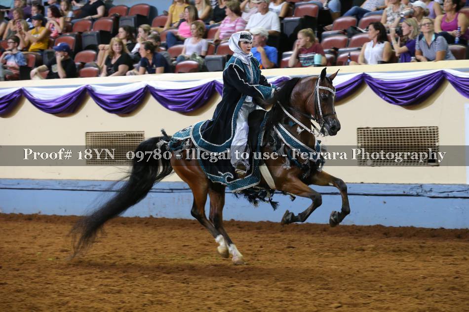 Proof 18YN_09780