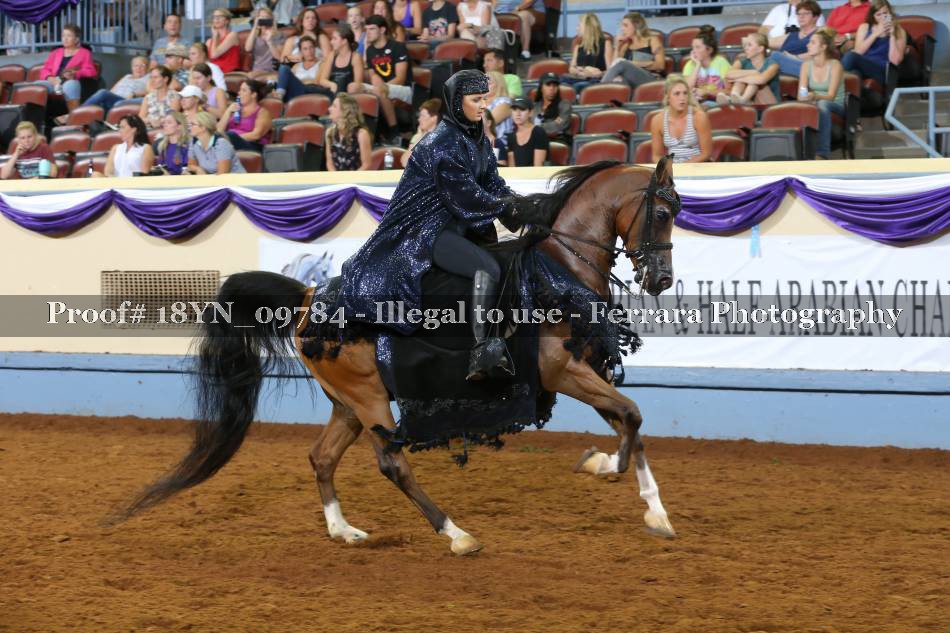 Proof 18YN_09784