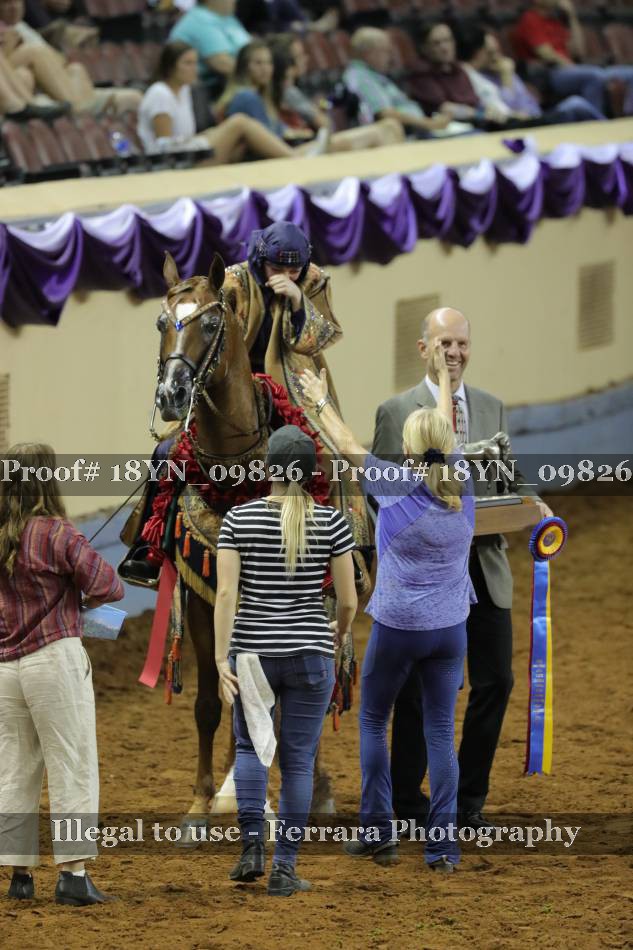Proof 18YN_09826