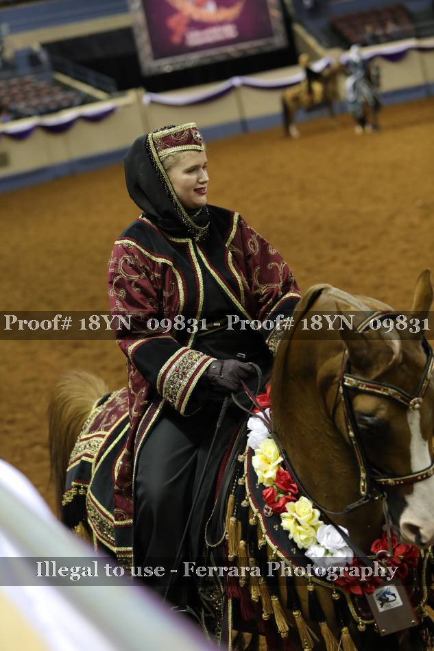 Proof 18YN_09831
