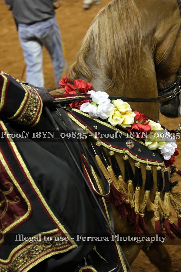 Proof 18YN_09835