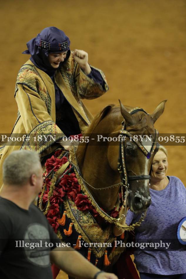 Proof 18YN_09855