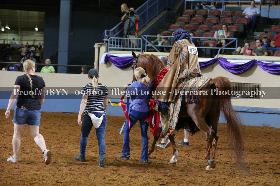 Proof 18YN_09860