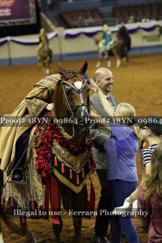 Proof 18YN_09864