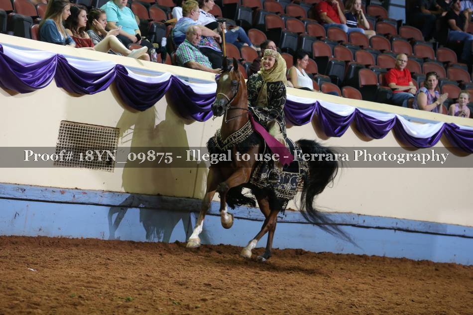 Proof 18YN_09875
