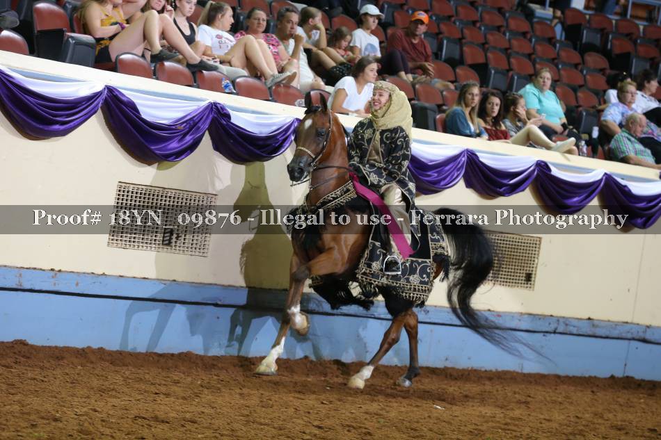 Proof 18YN_09876
