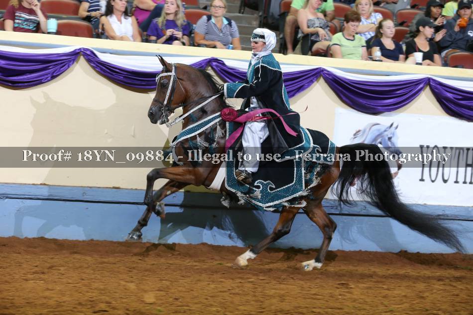 Proof 18YN_09884