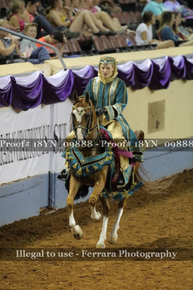 Proof 18YN_09888