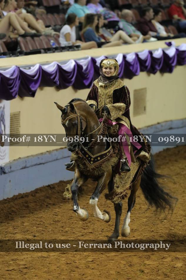 Proof 18YN_09891
