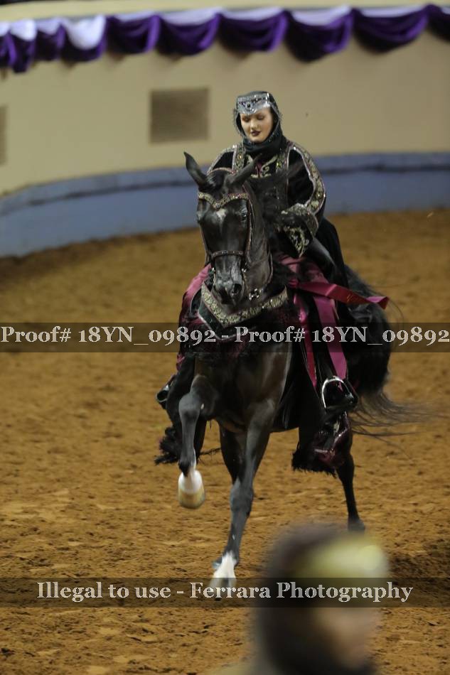 Proof 18YN_09892