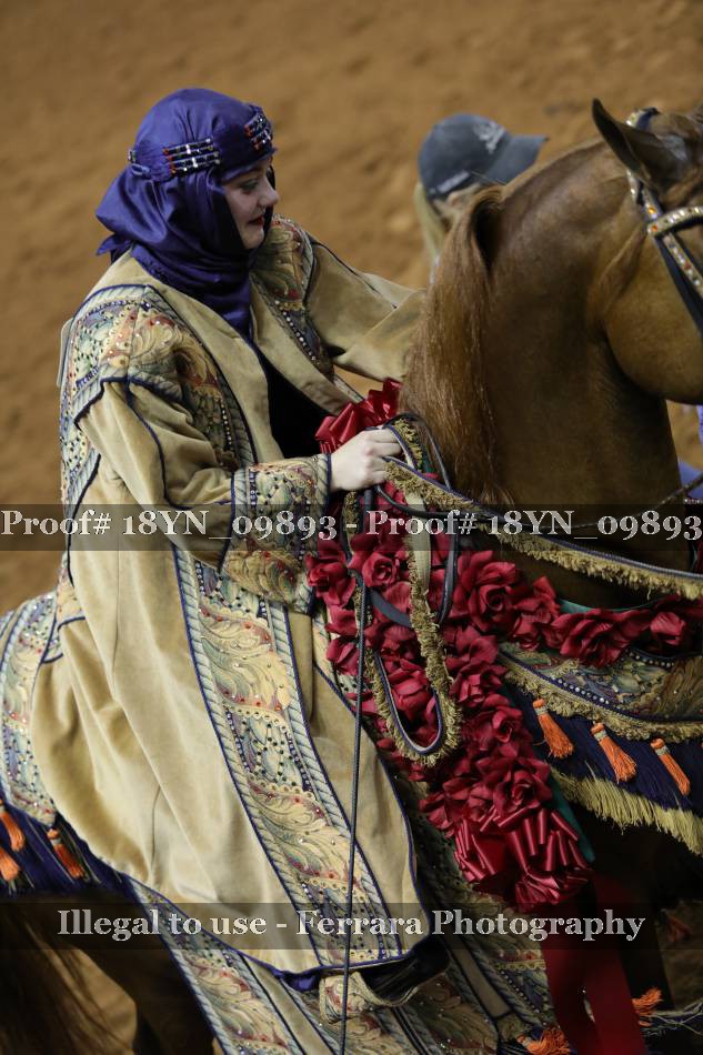Proof 18YN_09893