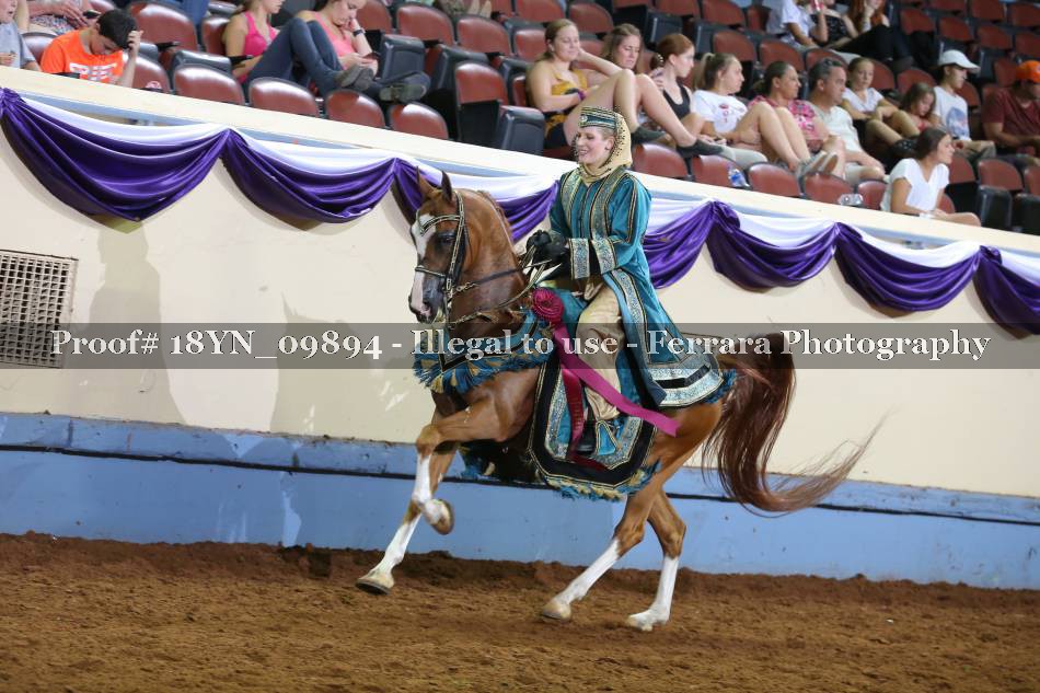 Proof 18YN_09894
