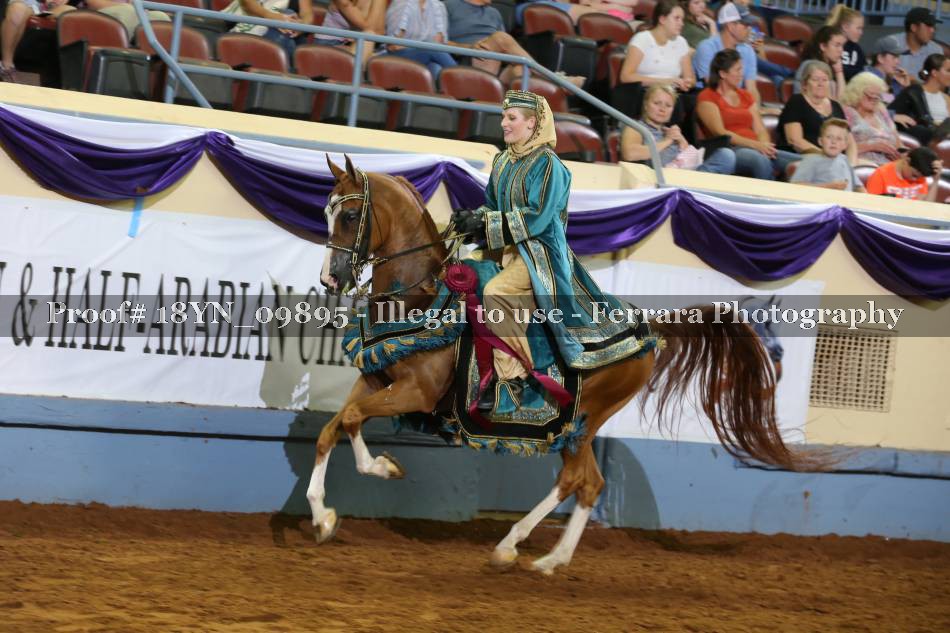 Proof 18YN_09895