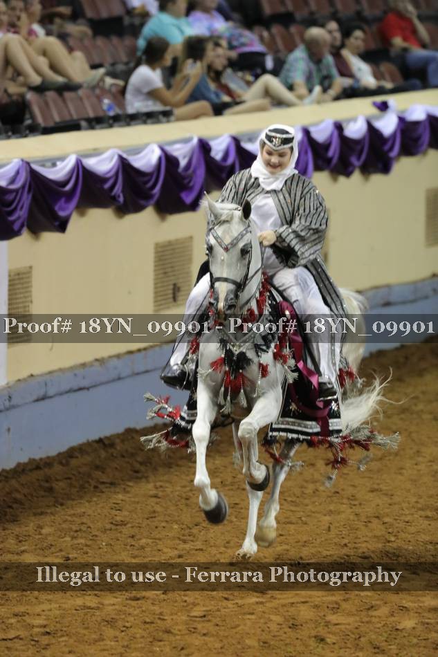 Proof 18YN_09901
