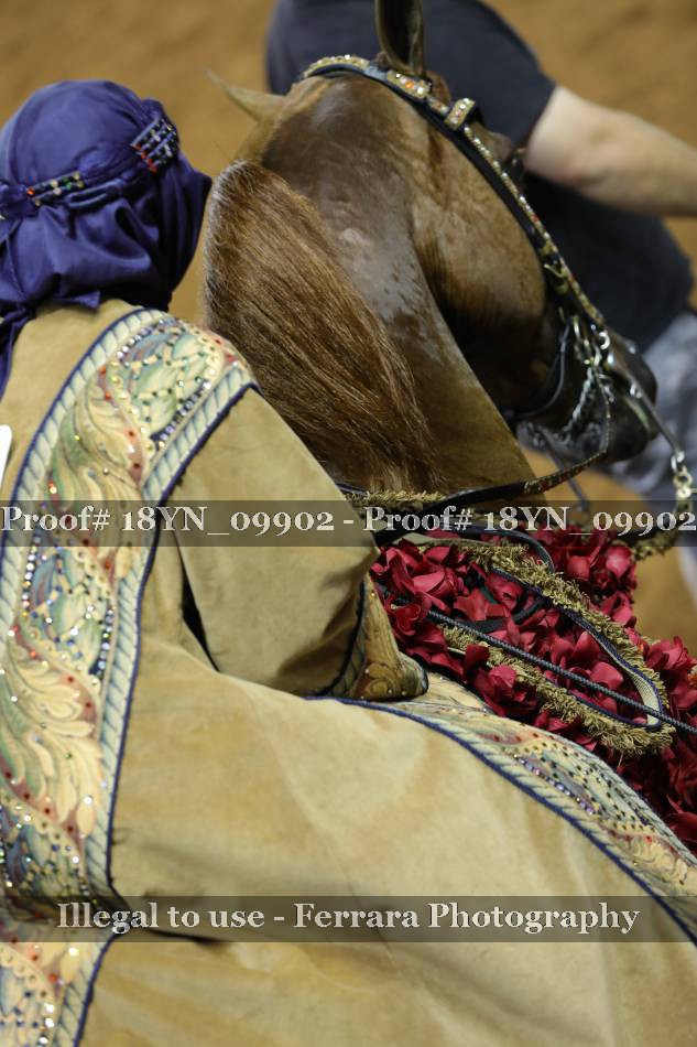 Proof 18YN_09902