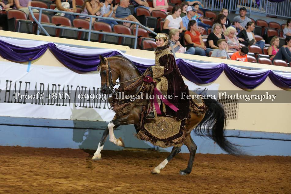 Proof 18YN_09903