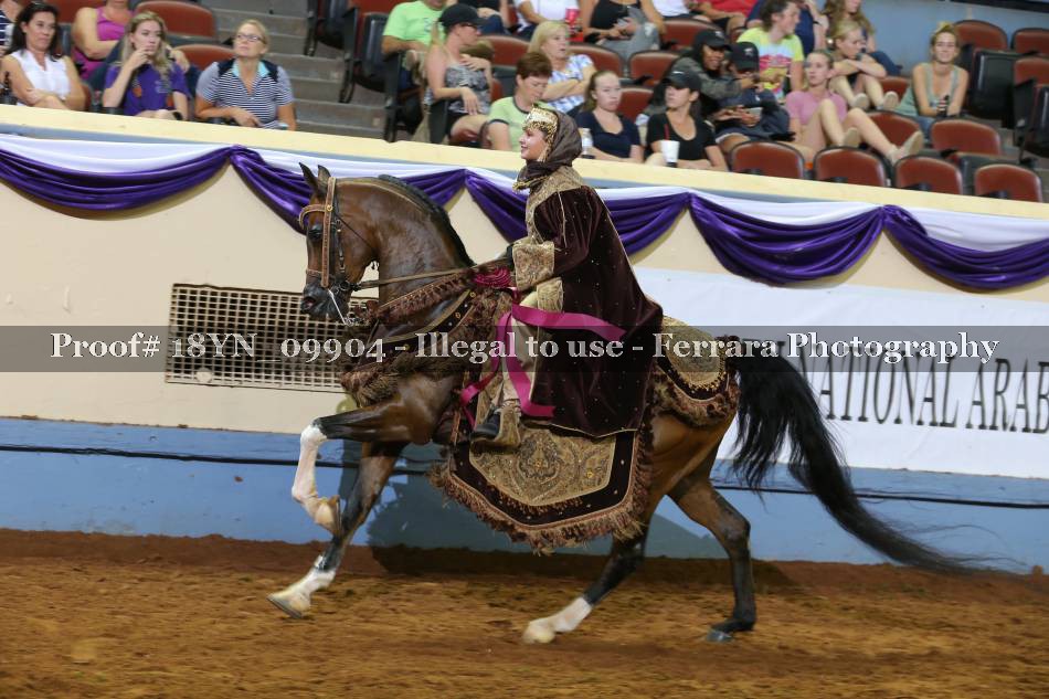 Proof 18YN_09904