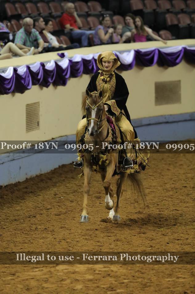 Proof 18YN_09905