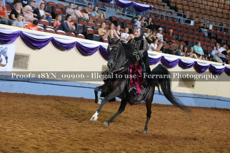 Proof 18YN_09906