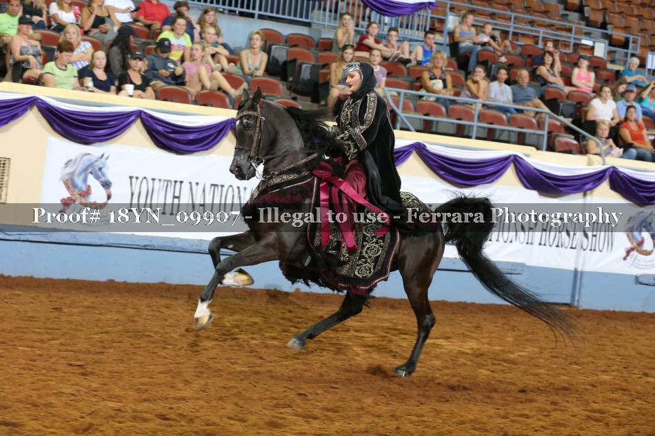 Proof 18YN_09907