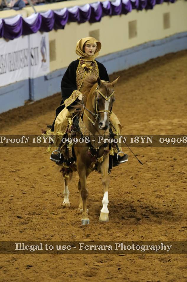 Proof 18YN_09908