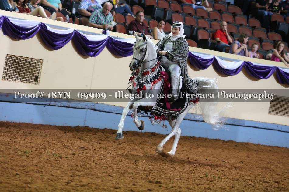 Proof 18YN_09909