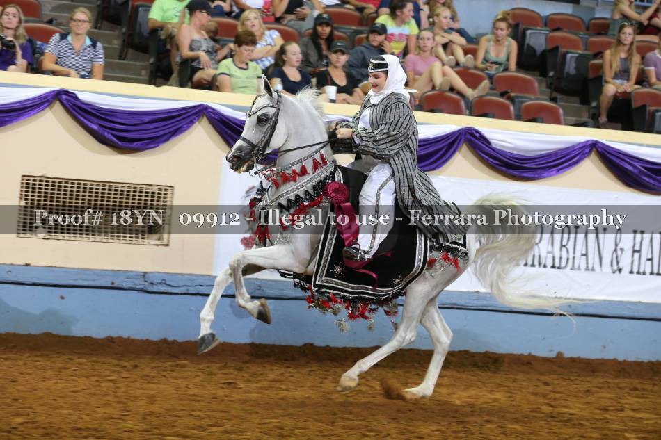 Proof 18YN_09912