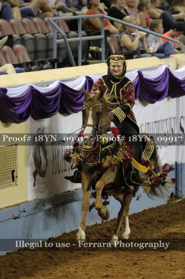 Proof 18YN_09917