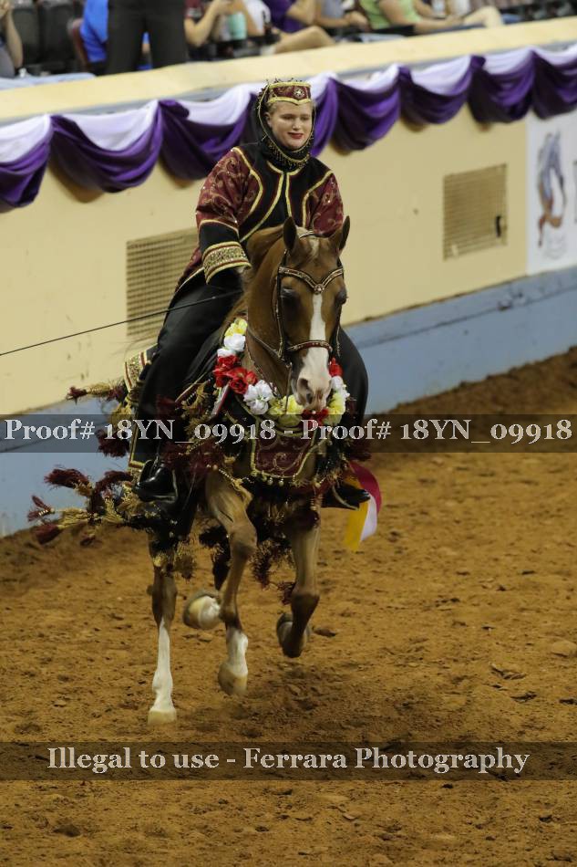 Proof 18YN_09918