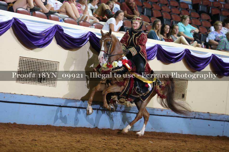 Proof 18YN_09921