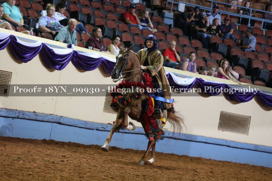 Proof 18YN_09930