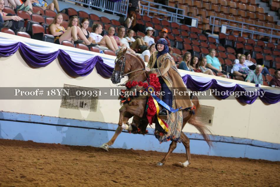 Proof 18YN_09931