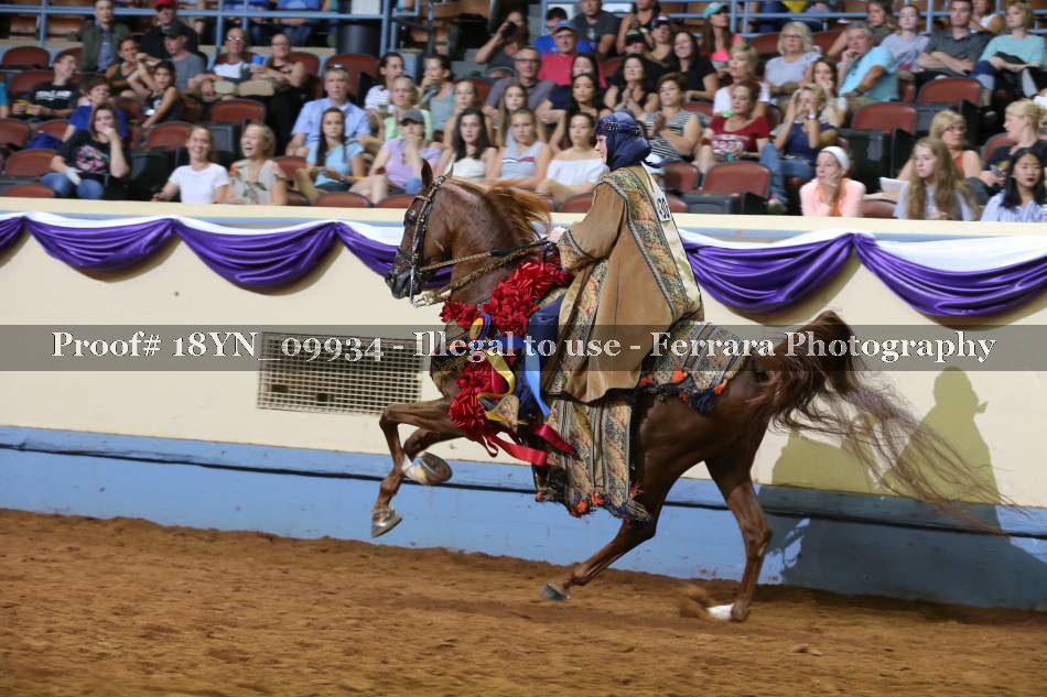 Proof 18YN_09934