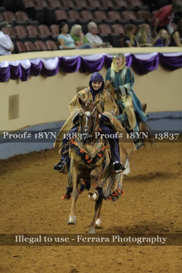 Proof 18YN_13837
