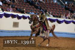 18YN_13912 proof